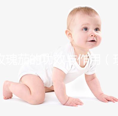 玫瑰茄的功效與作用（玫瑰茄的功效與作用泡水喝的功效）