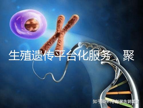 生殖遺傳平臺化服務(wù)，聚焦精準(zhǔn)化臨床應(yīng)用