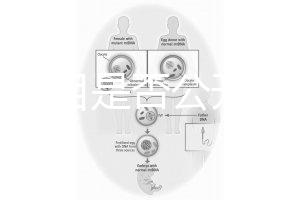 監獄項目是否公開招標（監獄項目是否公開招標文件）
