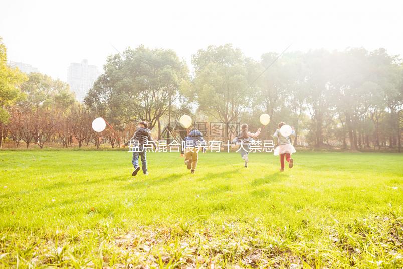 盤點混合喂養(yǎng)有十大禁忌！你能知道一頓母乳和一頓奶粉嗎？