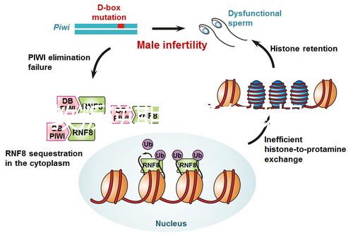 管教叛逆期孩子有妙招,這四個方法遠(yuǎn)勝封閉式管理