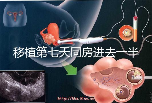 移植第七天同房進去一半有無影響戳，沒出血問題就不大