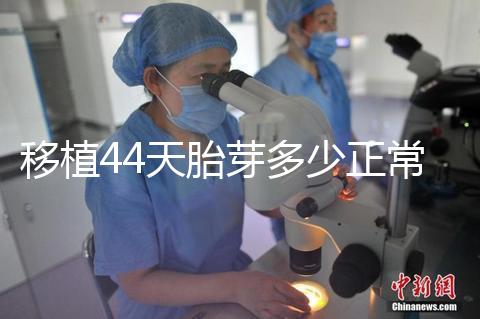 移植44天胎芽多少正常?胎芽長度和孕周對照表一覽