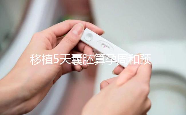 移植5天囊胚算孕周和預(yù)產(chǎn)期有訣竅，專家：用這2種方法
