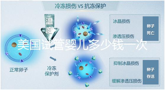 美國試管嬰兒多少錢一次？2025費用清單與避坑指南！