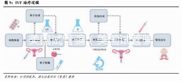 美國(guó)試管騙（美國(guó)試管騙局揭秘）