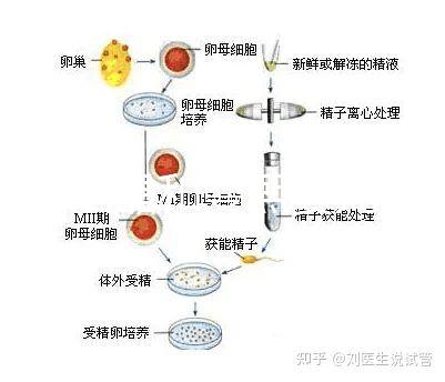 十月結(jié)晶和曼熙嬰兒浴盆誰(shuí)好還不造，怎么換電池這篇文章說(shuō)清楚