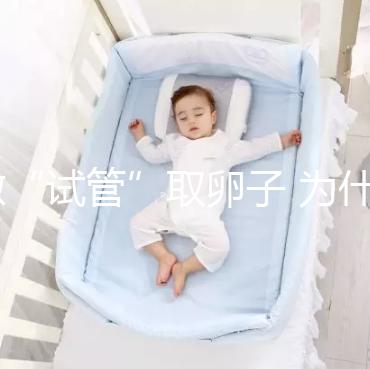 做“試管”取卵子 為什么10個(gè)卵泡只能取6個(gè)卵子？