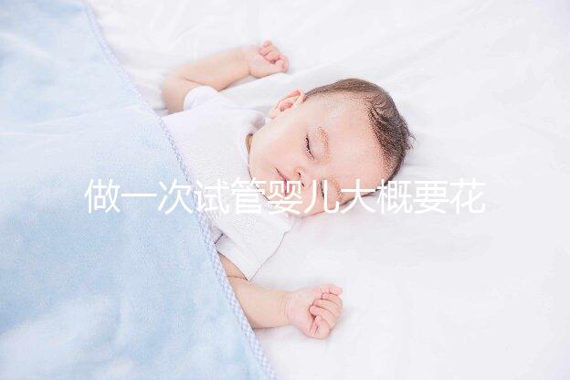 做一次試管嬰兒大概要花多少錢(qián)