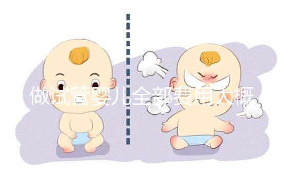 做試管嬰兒全部費(fèi)用大概是多少