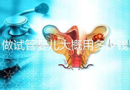 做試管嬰兒大概用多少錢，做試管嬰兒一般需要多少錢