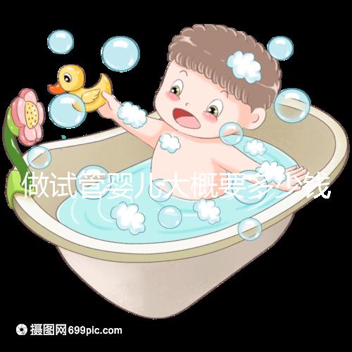 做試管嬰兒大概要多少錢