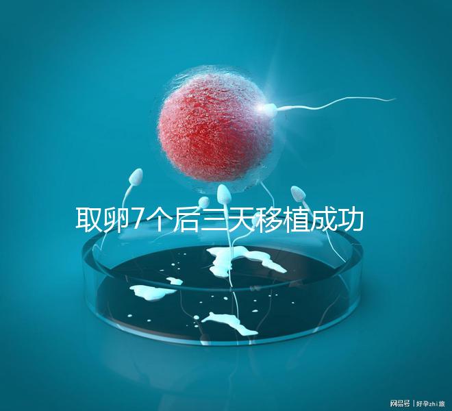 取卵7個后三天移植成功率真不低，關鍵要滿足這5大條件