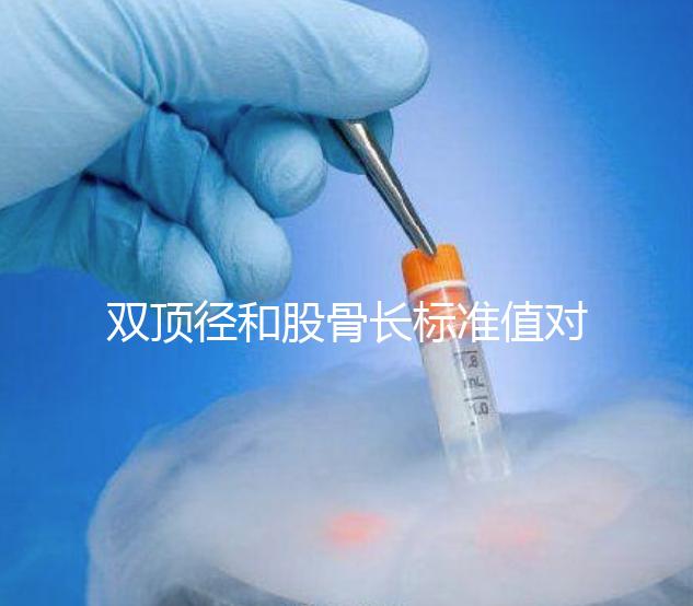 雙頂徑和股骨長標準值對照表，各懷孕周數差異明顯