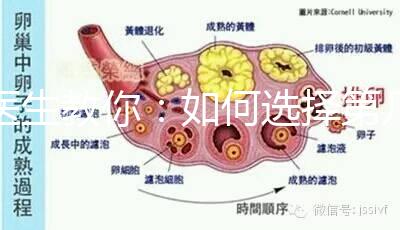 醫生教你:如何選擇第幾代試管嬰兒?看完再選