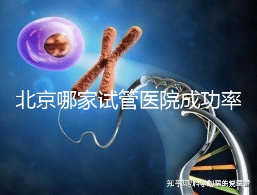 北京哪家試管醫院成功率最高？