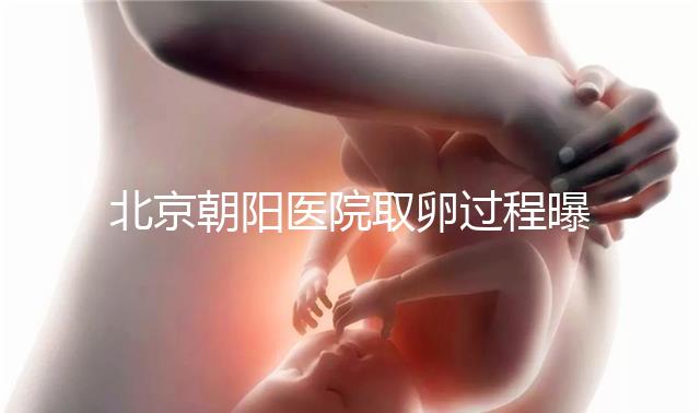北京朝陽醫(yī)院取卵過程曝光，了解清楚可以避免胎停育