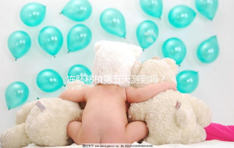 凍胚移植第五天測到嗎？肚子脹or腰疼這些感覺暗示著床了