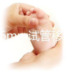 內膜16mm試管移植能否著床速覽，可否移植看身體情況