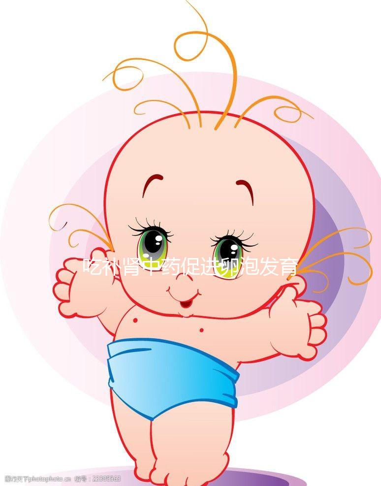 吃補腎中藥促進卵泡發育有奇功，按方子調理卵泡大又圓