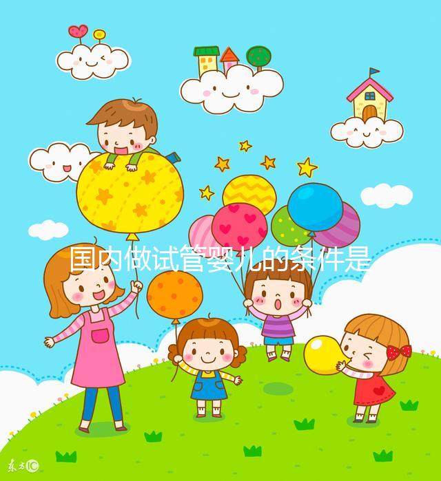 國(guó)內(nèi)做試管嬰兒的條件是什么，有什么要求？