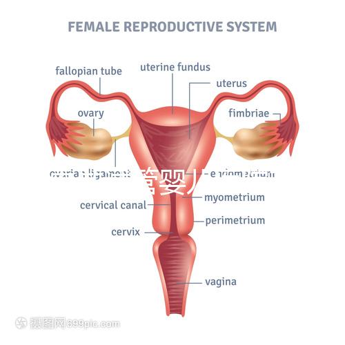 國內做試管嬰兒醫院有哪些？附全國十大試管醫院排名