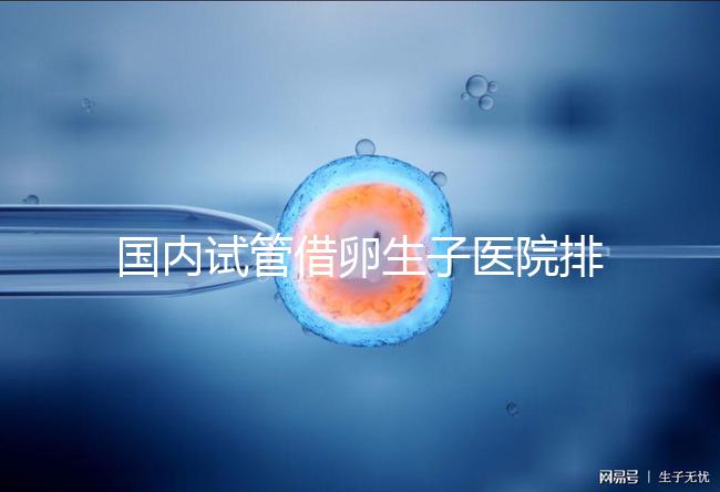 國內試管借卵生子醫院排名(附熱門醫院推薦)