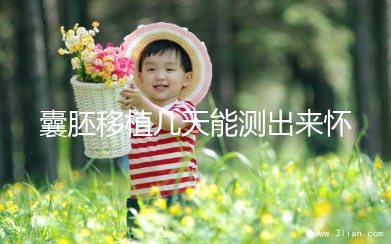 囊胚移植幾天能測出來懷孕？