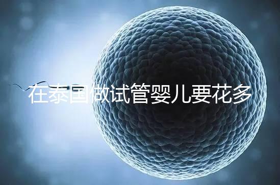 在泰國(guó)做試管嬰兒要花多少錢(qián)?一位助孕顧問(wèn)的深夜坦白