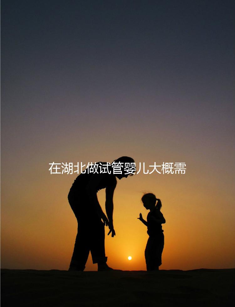 在湖北做試管嬰兒大概需要準備多少費用？詳細費用解析