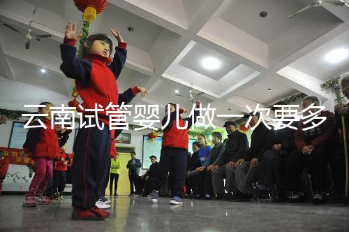 云南試管嬰兒做一次要多少錢？2024年助孕價格清單