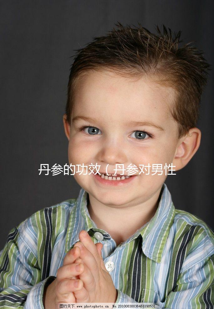 丹參的功效（丹參對男性性功能影響）