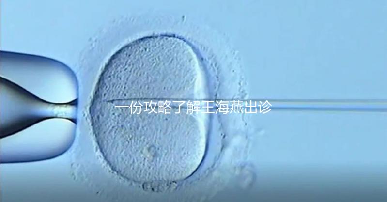 一份攻略了解王海燕出診表，讓你在北醫(yī)三院掛號(hào)更簡(jiǎn)單