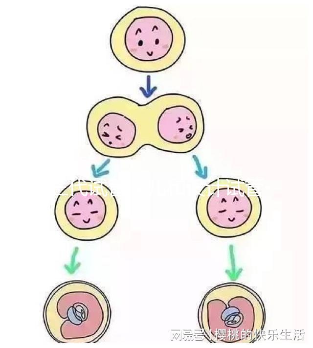 三代試管嬰兒和設計試管嬰兒一樣嗎?