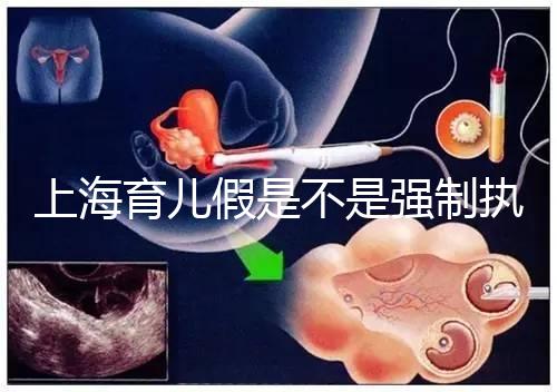 上海育兒假是不是強(qiáng)制執(zhí)行已明確，2024虹口區(qū)何時執(zhí)行戳