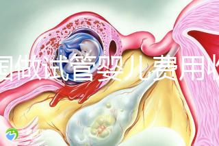 中國(guó)做試管嬰兒費(fèi)用收費(fèi)價(jià)目表一覽,包含具體成本預(yù)算