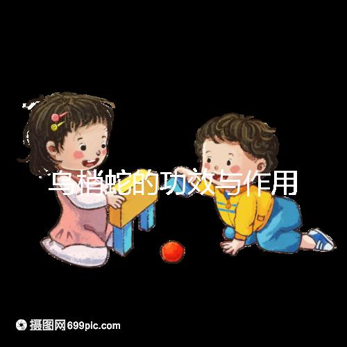 烏梢蛇的功效與作用