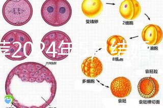 推薦2024年5月結(jié)婚的良辰吉日,最吉利的要數(shù)…