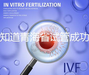 想知道青海省試管成功率多高看過(guò)來(lái),助孕案例幫你揭開(kāi)謎團(tuán)