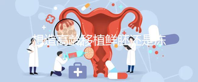 想造高齡移植鮮胚還是凍胚好請進,關鍵看身體適不適合