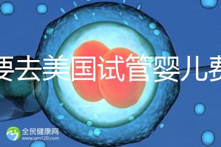 想要去美國試管嬰兒費用要花多少錢？2025年費用明細！