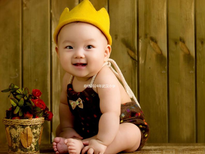 總結2024年武漢小學生入學政策，包括江岸區的詳細流程和條件