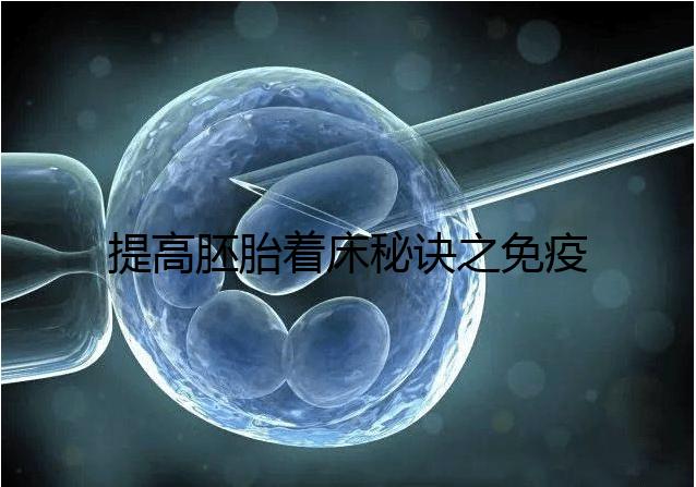 提高胚胎著床秘訣之免疫球蛋白，移植前后注射作用竟不同