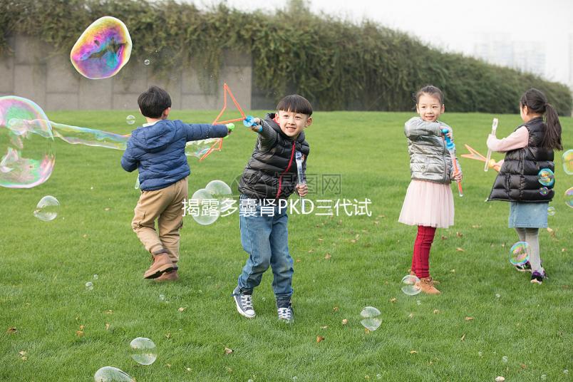 揭露多囊腎PKD三代試管取17個卵異常怎么辦？