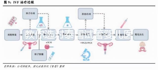教你選對泰國試管嬰兒醫院，ALL IVF、杰特寧原來是這么回事