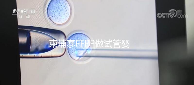 柬埔寨FFPP做試管嬰兒不“包成功”，小心不良中介套路