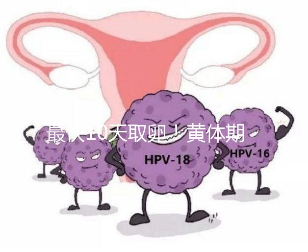 最快10天取卵！黃體期促排需要多長時間看這個指標