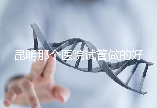 昆明那個(gè)醫(yī)院試管做的好