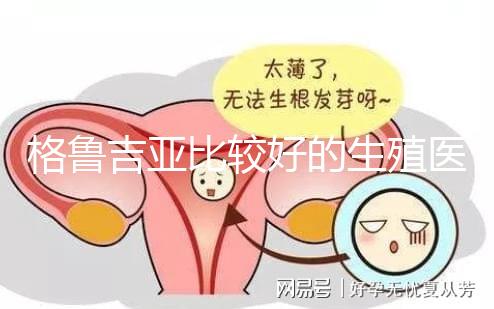 格魯吉亞比較好的生殖醫(yī)院是哪家，助孕成功率高還看這4家