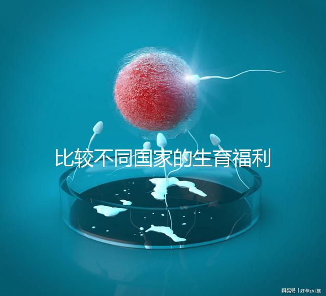 比較不同國家的生育福利｜生孩子還能拿到錢嗎？